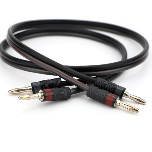 سلك مكبر صوت سيويل سيلفرباك 12 AWG مع مقابس الموز، 6 أقدام | سدادات Silverback Pro Banana، تصنيف CL3، نحاس خالٍ من الأكسجين، عدد جدائل مرتفع، منتهية in Kuwait