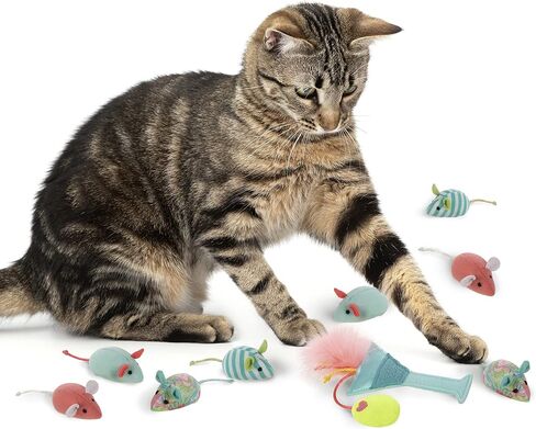 SmartyKat (9 مجموعات من مجموعة ألعاب Tropical Time Variety Pack Catnip Cat - متعددة الألوان، مجموعة من 9 قطع) in Saudi Arabia