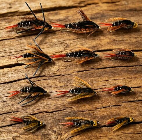 Outdoor Planet 12/16 / 24 Caddisflies/Mayfly/Attractor Nymph/Dragonflies and Damselflies/Stonefly/Hopper/Salmonfly/Dry Flies for Trout Fly Fishing Flies Lure Assortment in Saudi Arabia