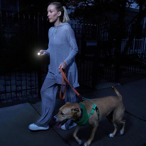 Sabre 2-in-1 Flashlight Design with Built-in Stun Gun, Powerful 1.76 µC Charge, 200 Lumen LED with 3 Modes; High, Low and Strobe, Rechargeable Battery, Hard Case and USB-C Charging Cord Included in Saudi Arabia