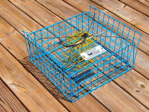 Folding Bridge Blue Crab Trap, Heavy-Duty Metal Wire Mesh Drop-Net, Collapsible Foldable Design, 15" x 15" x 7" in Saudi Arabia