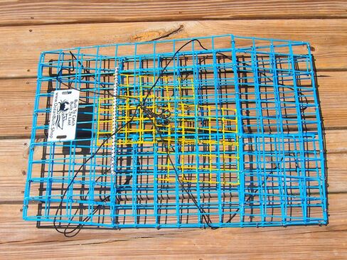 Folding Bridge Blue Crab Trap, Heavy-Duty Metal Wire Mesh Drop-Net, Collapsible Foldable Design, 15" x 15" x 7" in Saudi Arabia