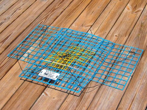 Folding Bridge Blue Crab Trap, Heavy-Duty Metal Wire Mesh Drop-Net, Collapsible Foldable Design, 15" x 15" x 7" in Saudi Arabia