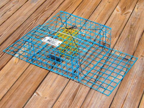 Folding Bridge Blue Crab Trap, Heavy-Duty Metal Wire Mesh Drop-Net, Collapsible Foldable Design, 15" x 15" x 7" in Saudi Arabia