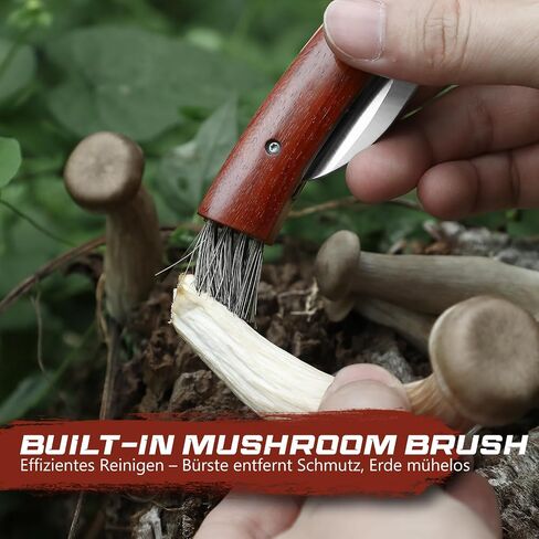 DRACHENADER Mushroom Knife N-1, 8.15" Folding Mushroom Knife with Brush, Leather Sheath, 5Cr14MoV Stainless Steel Blade, secure Liner-Lock Design for Foraging and Harvesting in Kuwait