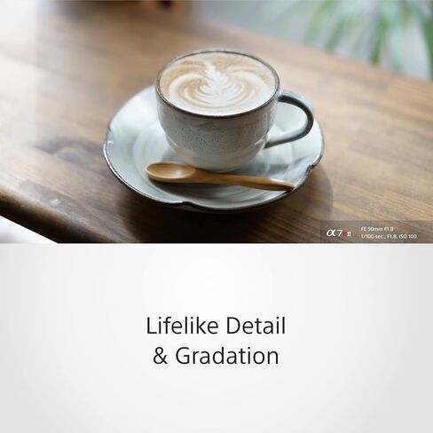 Sony - FE 50mm F1.8 Standard Lens (SEL50F18F), Black | F/1.8 aperture with 50mm focal length and metal mount for portraits, low-light photography and video in Kuwait