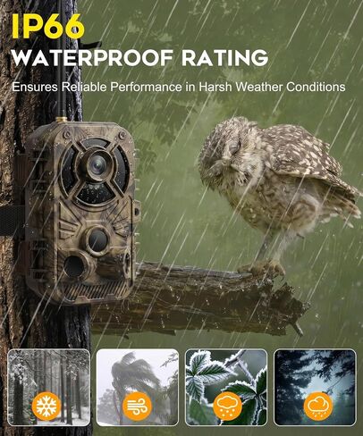 WiFi Trail Camera 4K 48MP, Night Vision Game Camera for Wildlife Hunting, 0.1s Trigger IP66 Waterproof (32GB Card Included) in Saudi Arabia