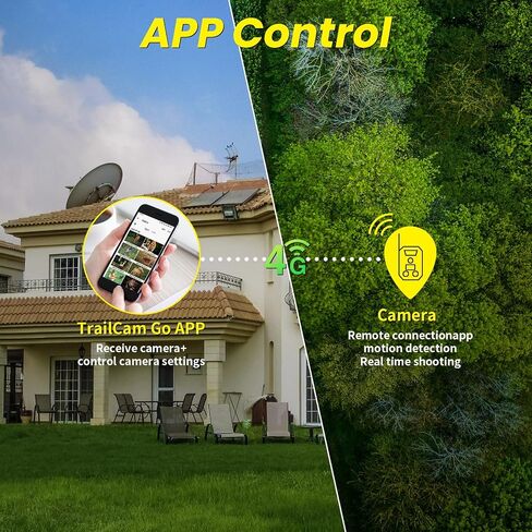 Cellular Trail Camera 4G LTE – Free Photo Transfer to App (No Subscription)，1296P HD Video, 60MP, Low-Glow IR Night Vision, Fast Trigger, Long Battery Life, 32GB SD – for Wildlife & Property Security | Free Photo Transfer to App( No Subscription) 1296P HD in Saudi Arabia