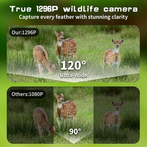 Cellular Trail Camera 4G LTE – Free Photo Transfer to App (No Subscription)，1296P HD Video, 60MP, Low-Glow IR Night Vision, Fast Trigger, Long Battery Life, 32GB SD – for Wildlife & Property Security | Free Photo Transfer to App( No Subscription) 1296P HD in Saudi Arabia