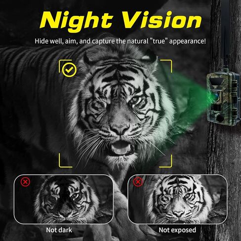 Cellular Trail Camera 4G LTE – Free Photo Transfer to App (No Subscription)，1296P HD Video, 60MP, Low-Glow IR Night Vision, Fast Trigger, Long Battery Life, 32GB SD – for Wildlife & Property Security | Free Photo Transfer to App( No Subscription) 1296P HD in Saudi Arabia