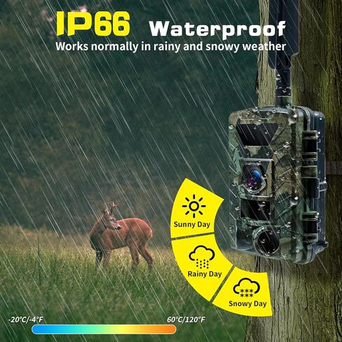 Cellular Trail Camera 4G LTE – Free Photo Transfer to App (No Subscription)，1296P HD Video, 60MP, Low-Glow IR Night Vision, Fast Trigger, Long Battery Life, 32GB SD – for Wildlife & Property Security | Free Photo Transfer to App( No Subscription) 1296P HD in Saudi Arabia