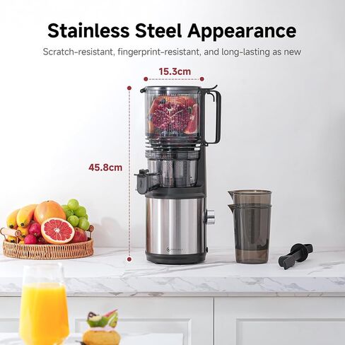 AMZCHEF Cold Press Juicer Machine, 6-Inch Chute for Whole Fruits/Veggies | Triple stainless steel filter, quiet DC motor and easy-clean parts for smooth, high-yield juice from fruits and vegetables in Saudi Arabia