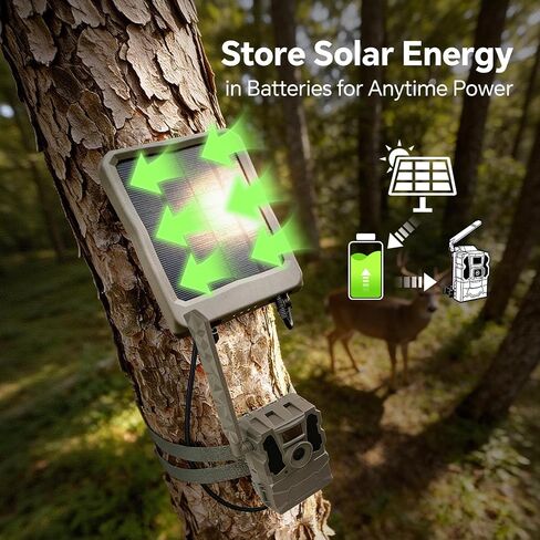 Rechargeable Lipo Lithium Battery Pack Trail Camera Battery | Compatible with Reveal Hunting Camera Ultra, X, X Pro, Pro 3.0, X Gen 2.0 3.0, XB, SK (Pack of 2, 6000mAh) in Kuwait