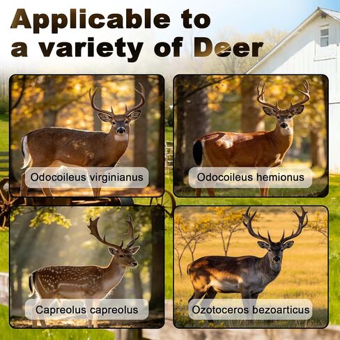 80LB Heavy Duty Gravity Steel Deer Feeder | Lightweight, Windproof, Waterproof, All-Weather Steel, for Deer Hunting and Game Feeding, Holds Corn or Pellets in Saudi Arabia