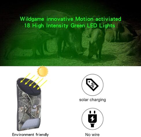 Feeder Hog Light Vizzlema Outdoor Solar Feeder Light for Hunting with Motion Sensor and Green Light for Game Animal Hunting in Kuwait