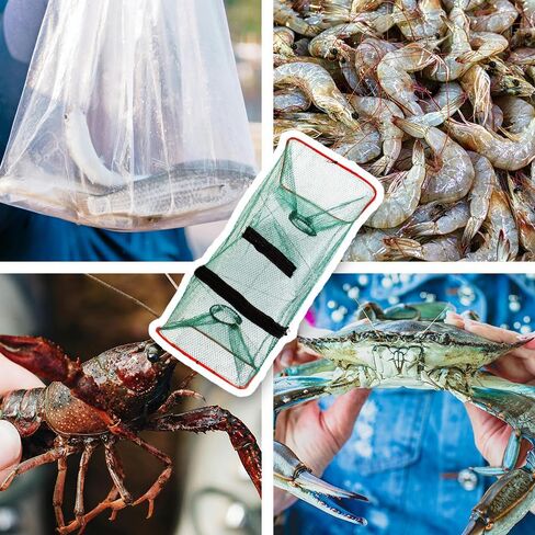 2 Pack Foldable Fishing Bait Trap Nets for Minnows and Crawfish | Featuring Dual Funnel Entrances Main Zippered Opening and Portable Mesh Design for Shrimp Bait Fish in Freshwater Collection in Saudi Arabia