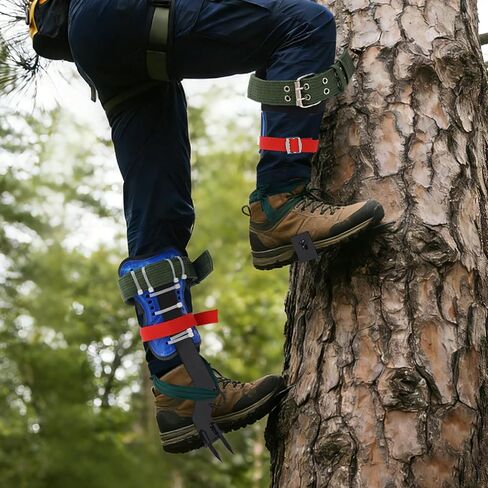 Tree Climbing Gear, Climbing Equipment 4.13'' Steel Spikes Kits, Up to 220 Lbs, Rope, Climbing Tool Set with Foot Straps, Ankle Straps, Gloves, Belt for Tree Work, Trimming, Picking Fruit in Saudi Arabia