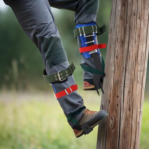 Tree Climbing Gear, Climbing Equipment 4.13'' Steel Spikes Kits, Up to 220 Lbs, Rope, Climbing Tool Set with Foot Straps, Ankle Straps, Gloves, Belt for Tree Work, Trimming, Picking Fruit in Saudi Arabia