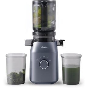 Juicer Machines, Cold Press Juicer for Fruit and Vegetable, Masticating Machine with Juice Recipe, Self Feeding Effortless for Batch Juicing,Easy to Clean,High Juice Yield in Saudi Arabia