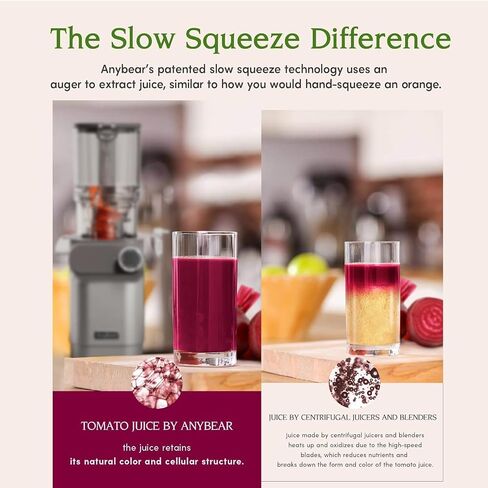 Anybear Cold Press Juicer 200W Slow Juicer 4.3" Feed Chute & Juice Recipes | Gray, Slow Juicer Machine, For Whole Fruit/ Vegetable, Upgraded Heavy-Duty Auger, Tritan Material, BPA Free, Juice Recipes in Saudi Arabia