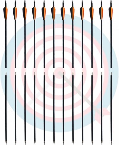 2 Piece Arrows Takedown Carbon Arrows Portable for Takedown Longbow Recurve Compound Bow Survival Bow Traveling Spine 500, 12 Pack in Saudi Arabia