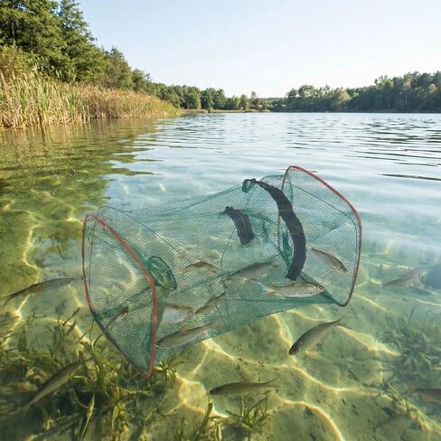 4 Pcs Collapsible Fishing Bait Trap, Portable Folded Minnow Net Trap | Square Fishing Net for Bait Fish Shrimp Crab Net Crab Traps for Blue Crabs Crabbing Crawfish, 17.7 × 8.6 × 8.6in in Saudi Arabia