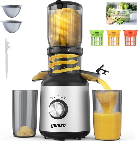 Ganiza Juicer Machines, Slow Masticating Juicers with Large Feed Chute for Whole Fruits & Vegetables, Cold Press Juicer with 3 Replace Filters for Batch Juicing, Easy to Clean, BPA Free(Silver) in Saudi Arabia
