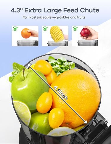 Ganiza Juicer Machines, Slow Masticating Juicers with Large Feed Chute for Whole Fruits & Vegetables, Cold Press Juicer with 3 Replace Filters for Batch Juicing, Easy to Clean, BPA Free(Silver) in Saudi Arabia