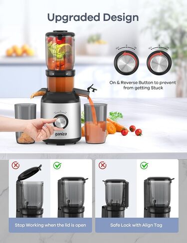 Ganiza Juicer Machines, Slow Masticating Juicers with Large Feed Chute for Whole Fruits & Vegetables, Cold Press Juicer with 3 Replace Filters for Batch Juicing, Easy to Clean, BPA Free(Silver) in Saudi Arabia