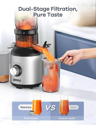 Ganiza Juicer Machines, Slow Masticating Juicers with Large Feed Chute for Whole Fruits & Vegetables, Cold Press Juicer with 3 Replace Filters for Batch Juicing, Easy to Clean, BPA Free(Silver) in Saudi Arabia