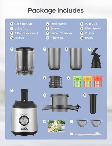 Ganiza Juicer Machines, Slow Masticating Juicers with Large Feed Chute for Whole Fruits & Vegetables, Cold Press Juicer with 3 Replace Filters for Batch Juicing, Easy to Clean, BPA Free(Silver) in Saudi Arabia