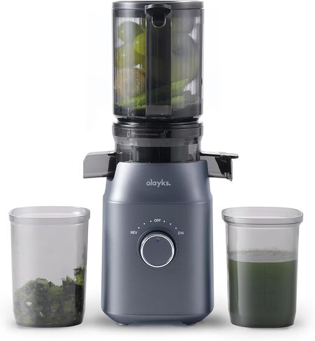 Juicer Machines, Cold Press Juicer for Fruit and Vegetable, Masticating Machine with Juice Recipe, Self Feeding Effortless for Batch Juicing,Easy to Clean,High Juice Yield in Saudi Arabia