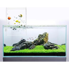 خزان أسماك أكريليك ذو ضغط سلبي مع أقواس ثابتة، مصعد أسماك شفاف مقلوب لحوض السمك المعلق، خزان أسماك معلق يزيد من منطقة نشاط الأسماك، برج سمك، 8 * 4.6 * 4.6 بوصة in Kuwait