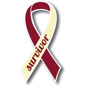 Magnet Me Up Head and Neck Cancer Awareness Burgundy and Ivory Ribbon Magnet Decal, 3.5x7 Inches, Heavy Duty Automotive Magnet for Car Truck SUV, Showing Support or Fundraising, Crafted in USA