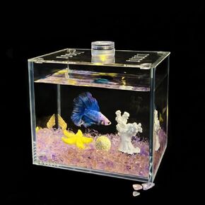 Small Glass Betta Fish Tank kit,Mini Betta Fish Tank with Cover, Small Nano Rimless Tank, Small Glass Fish Tank, Shrimp Tank (0.3Gallon 4.7x3.1x4.7inch)
