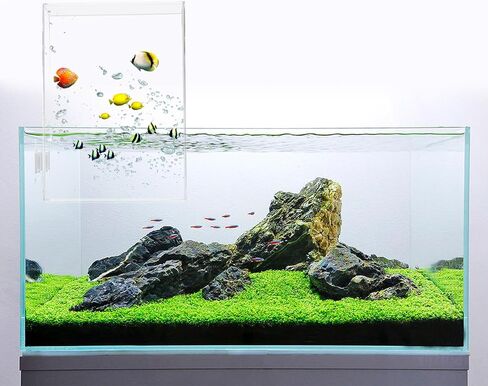 خزان أسماك أكريليك ذو ضغط سلبي مع أقواس ثابتة، مصعد أسماك شفاف مقلوب لحوض السمك المعلق، خزان أسماك معلق يزيد من منطقة نشاط الأسماك، برج سمك، 8 * 4.6 * 4.6 بوصة in Kuwait