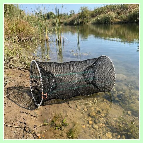 Collapsible Crab Trap Net, Foldable Fishing Trap 2 Pack | Medium and small sizes （ 23.6*18.8in and 17.68*9.82in） For Minnow, Crab, Shrimp, Crawfish , with Drawstring Bag included in Saudi Arabia