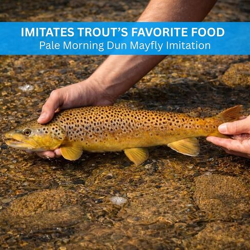 PMD 12 Pack – Premium Hand Tied Dry Flies for Fly Fishing – Realistic Pale Morning Dun Mayfly Pattern – High Floating, Hatch-Matching Trout Fly Set in Kuwait