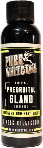 Pure Whitetail Preorbital Gland Scent & Bachelor Group, 2 oz & 4 oz | Buck Urine Natural Deer Scents for Mock Scrapes, Ropes, Licking Branches & Cover Scent in Kuwait