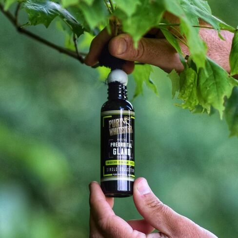 Pure Whitetail Preorbital Gland Scent & Bachelor Group, 2 oz & 4 oz | Buck Urine Natural Deer Scents for Mock Scrapes, Ropes, Licking Branches & Cover Scent in Kuwait