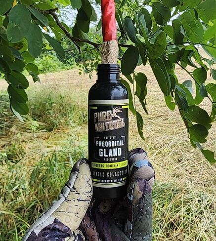 Pure Whitetail Preorbital Gland Scent & Bachelor Group, 2 oz & 4 oz | Buck Urine Natural Deer Scents for Mock Scrapes, Ropes, Licking Branches & Cover Scent in Kuwait