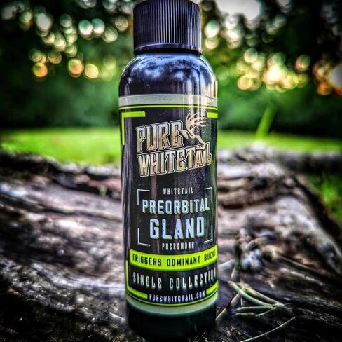 Pure Whitetail Preorbital Gland Scent & Bachelor Group, 2 oz & 4 oz | Buck Urine Natural Deer Scents for Mock Scrapes, Ropes, Licking Branches & Cover Scent in Kuwait
