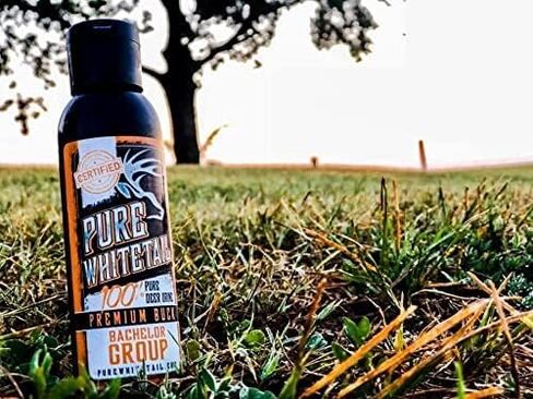 Pure Whitetail Preorbital Gland Scent & Bachelor Group, 2 oz & 4 oz | Buck Urine Natural Deer Scents for Mock Scrapes, Ropes, Licking Branches & Cover Scent in Kuwait