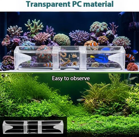 Aquarium Worm Catcher, Transparent Detachable Fish Tank Worms Trap, Aquatic Tank Traps for Freshwater & Saltwater Fishes Shrimp Coral Tanks in Saudi Arabia
