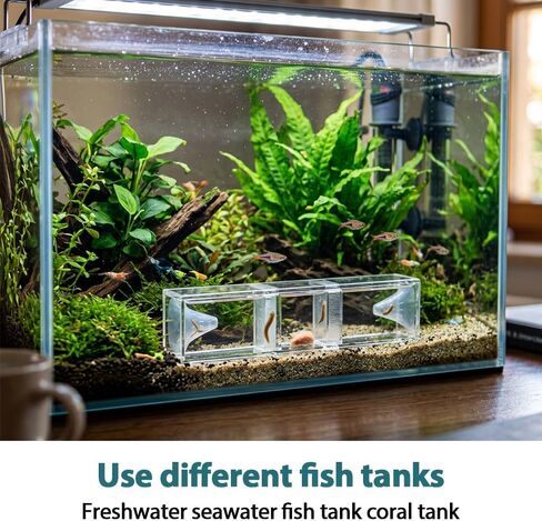 Aquarium Worm Catcher, Transparent Detachable Fish Tank Worms Trap, Aquatic Tank Traps for Freshwater & Saltwater Fishes Shrimp Coral Tanks in Saudi Arabia