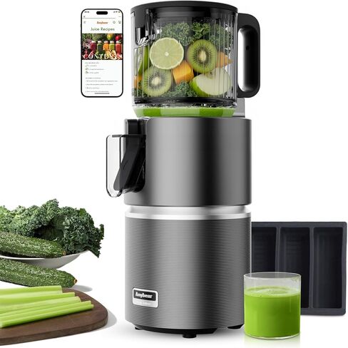 Anybear 350W Cold Press Juicer, Makes Juice & Sorbet & Nut Milk + Recipe | Dual slow-squeeze preserves nutrients, 4.9" chute fits whole fruits, BPA-Free, juice, nut milk, sorbet, 5-yr warranty, Grey. in Saudi Arabia