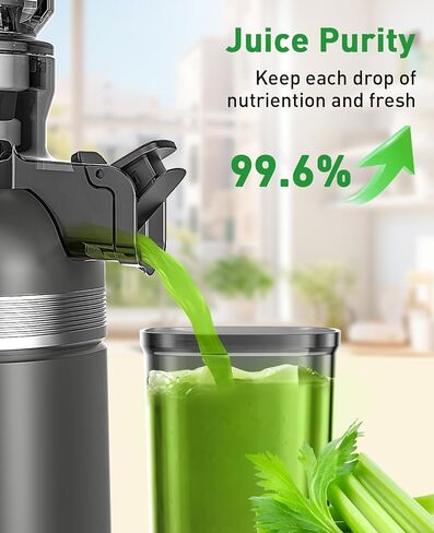 GlowWise Cold Press Juicer Machines for Whole Vegetables & Fruits, Slow Masticating Juicer Maker with Wide Feed Chute, High Juice Yield, Easy to Clean, Gray in Saudi Arabia