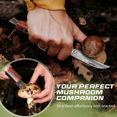 DRACHENADER Mushroom Knife with Brush, Folding Foraging Knife | with VG10 Damascus Steel Blade, Curved Blade Mushroom Harvesting Knives with Leather Sheath for Camping in Kuwait