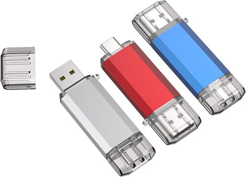 RAOYI 32GB USB C Flash Drive, 2 in 1 USB 3.0 Type C Dual OTG Metal Thumb Drive Jump Drive Memory Stick with Keychain Suitable for USB-C Smartphones, MacBook, Computers and Tablets (Silver) in Saudi Arabia
