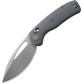Petrified fish PFP13 Viper 3.5" K110 Steel Blade Pocket Folding Knife | Gray G10 Handle, Pocket Clip, Stonewashed Blade Finished, Ceramic Ball Bearing, EDC Knife for Camping Outdoor in Saudi Arabia